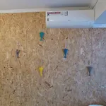 What Apartment *
